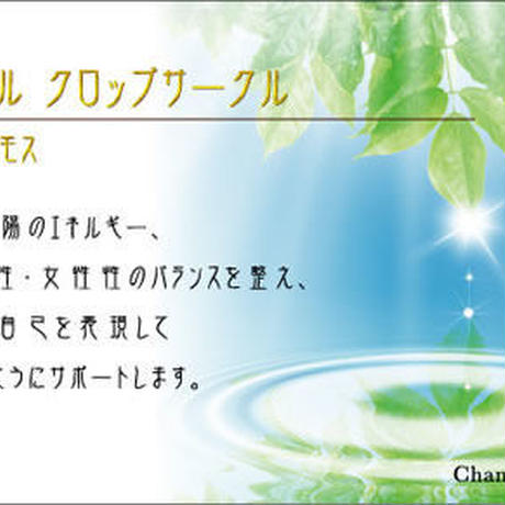 5338f74f8a5610ead300013d