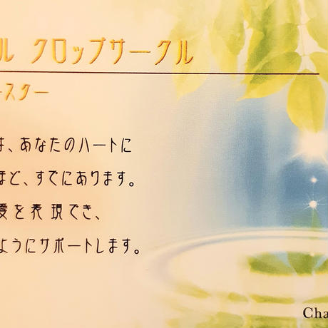 5df3b21fac68df0d7249b904