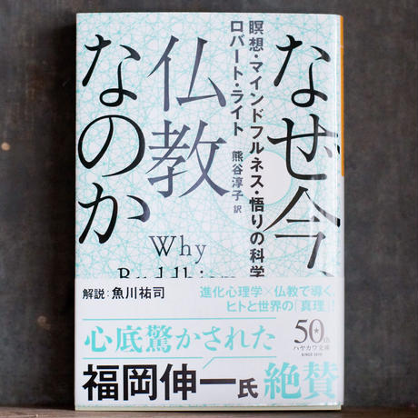 5f64368d93f6197444e6a91b