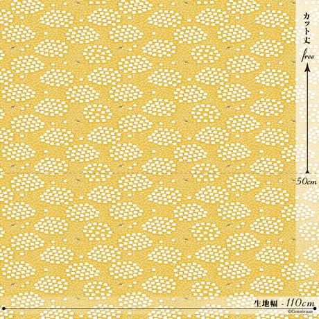 537240ff236a1e19ec0001bf