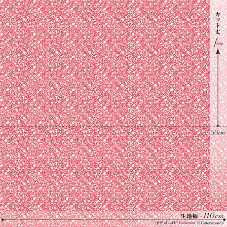 541fd0c42b3492c885000305