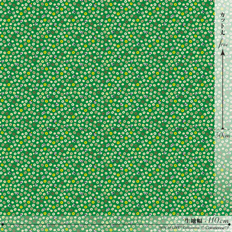 541ff6202b34928088000186