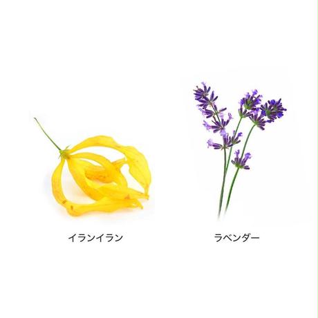 5d37eab62e89b75677f79d21