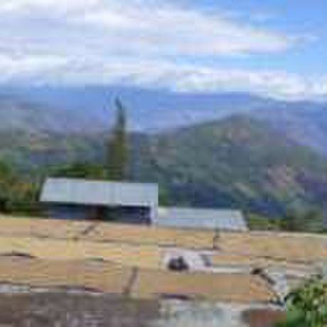 56dd3bf6bfe24c021900210d