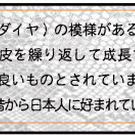 58abc28641f8e84e6b0003f1