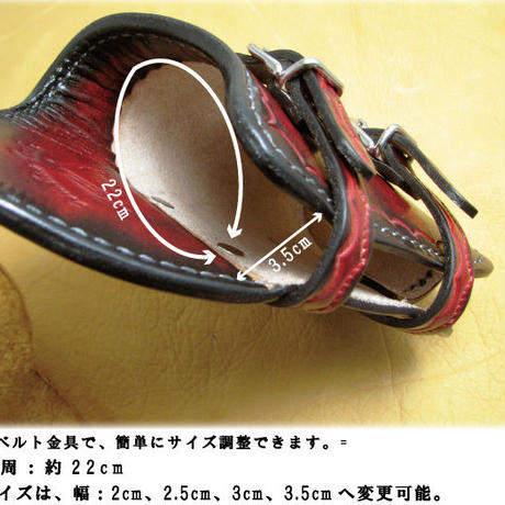 589d6ac01003151fc300066b