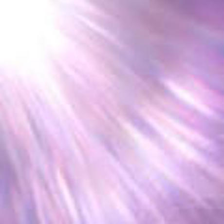 5c1f29e86870247929f1c455
