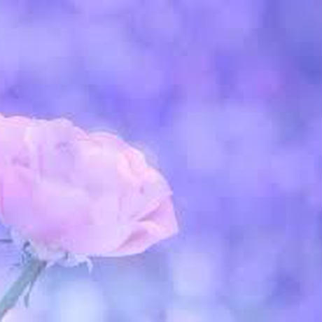 5b8fc313a6e6ee56aa0010ea