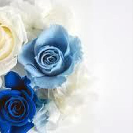 59c123f8428f2d08760042d1