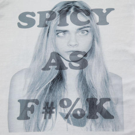 53ba04993e7a4a7e21000020