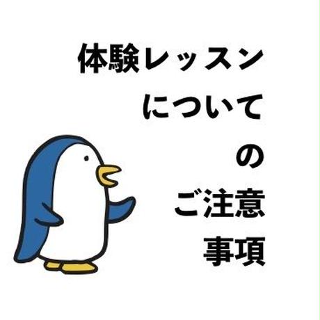 556e849c86b1888d80006771