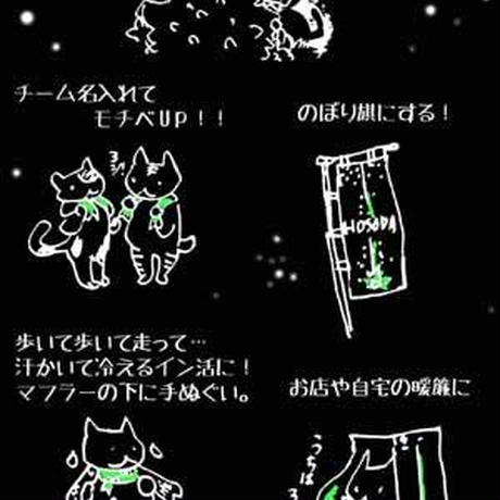55e496a9ef33775525001ff4