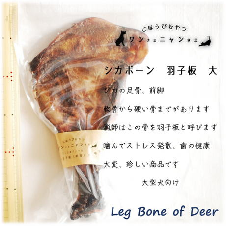 5d23feb33a7e966fe44f98e7