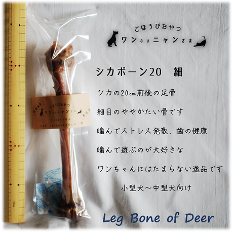 5d2402073a7e967fbf2b608b