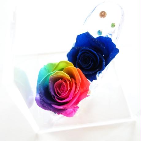 5d77557800631f440d9cb109