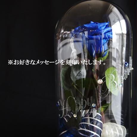5959d0583210d54a2600161a