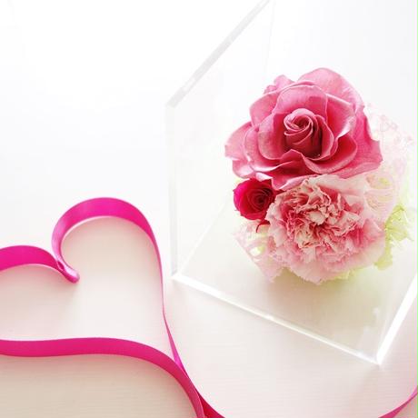 5cad908fb9d5f4162806f89b