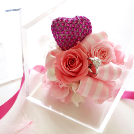 5a62f52ec8f22c66bb000f49