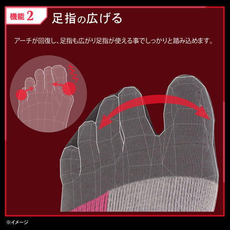 5d317e3c66d86c1fda7e821d