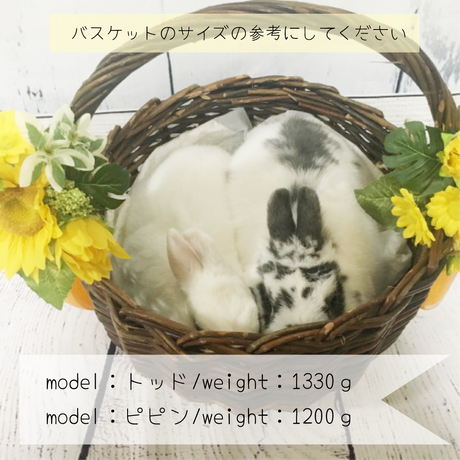 5b4f59365f786665c90002c9