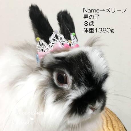 587dd53541f8e827810007a6