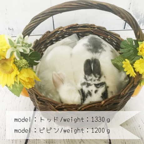 5b4b4dff5496ff4914000b7b
