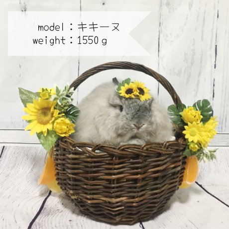 5b4f7fb9ef843f450e000d7c