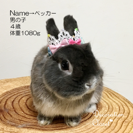 587dd53541f8e827810007a6