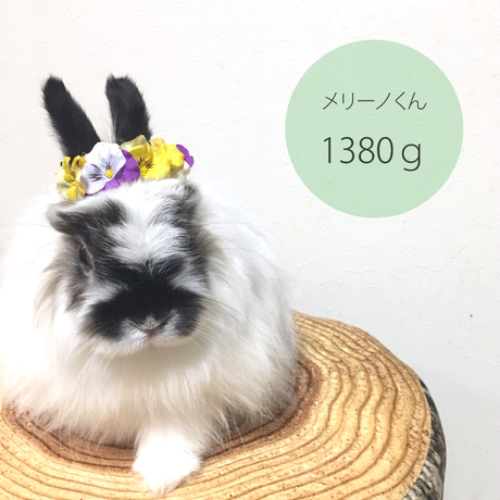58bbb7c0748e5b180c00edfd