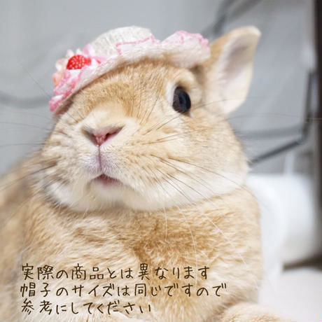 5954f5c53210d5699a005f4f