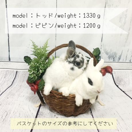 5b4f5dedef843f165400031d