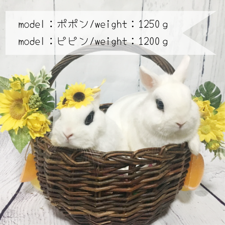 5b4f7fb9ef843f450e000d7c