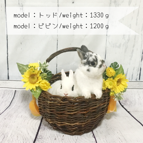 5b4b4dff5496ff4914000b7b