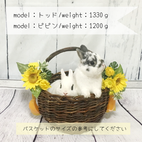 5b4f549c5496ff4af2001db3