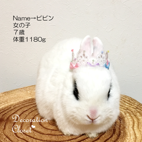 587dd53541f8e827810007a6