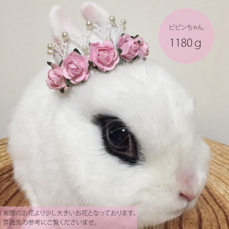 58bb7b9f1a704b0de000b2a1