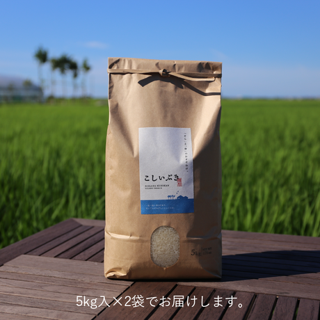 5c982e560283af0f0c7604cc