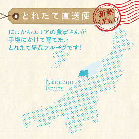 5cf86c96a894520a3199f25c