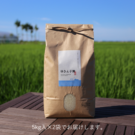 5c982f2053053d34b8370800