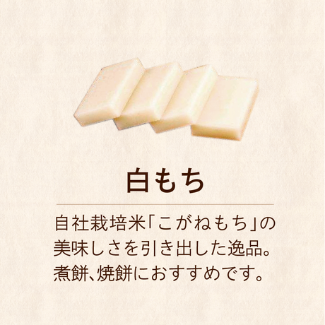 5bed13d75496ff7fc3000345
