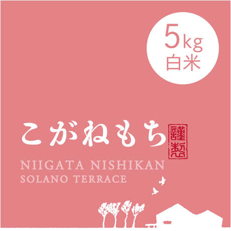 59ae5b683210d519a60001f0