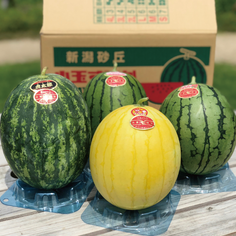5cf86c96a894520a3199f25c