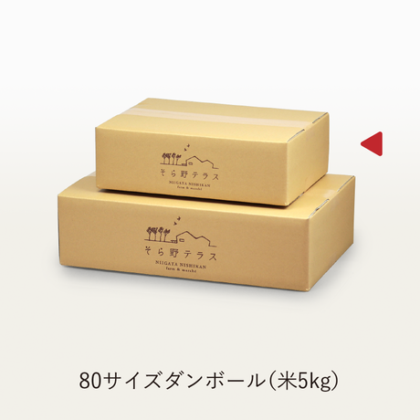 59ae5b08b1b6197b0a00037b
