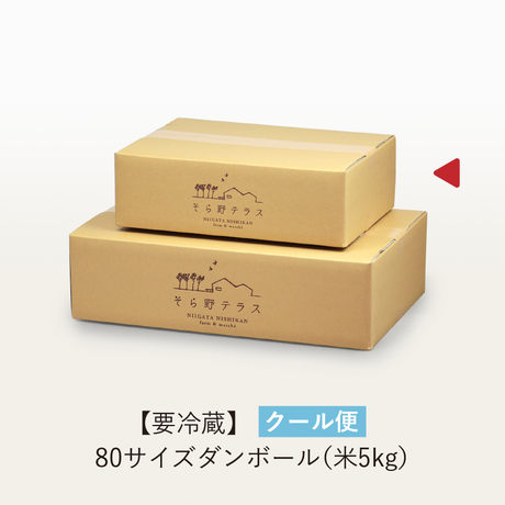 5c9837773207bc6f5e6181d9