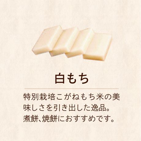 5bed11d3626c8455ca000642