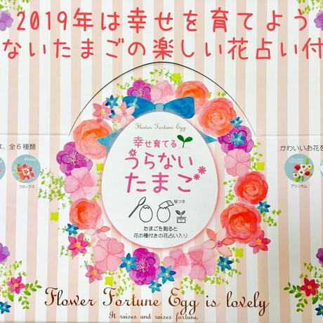 5c14b7d92a28622d80cfbaf2