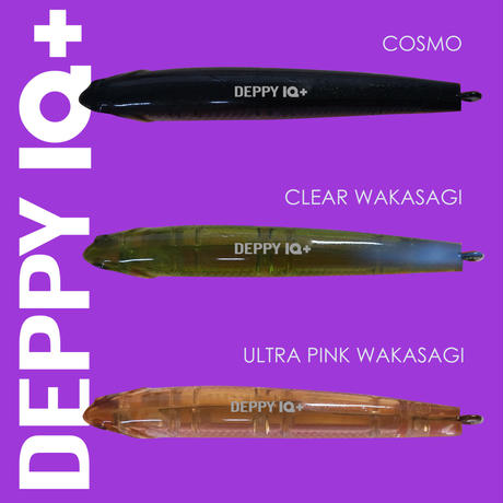 5ee711f9b5a42557c9fc49d9