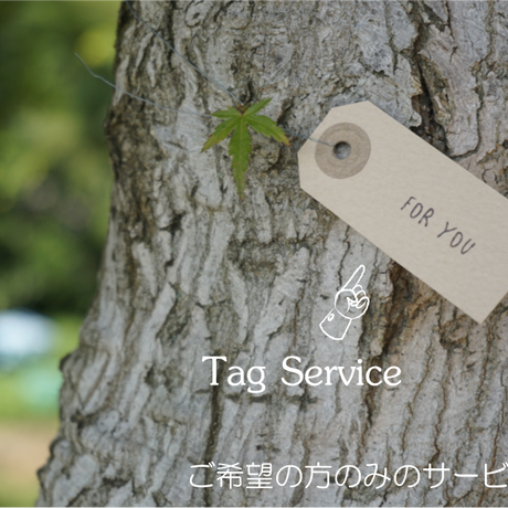 558b80602b349225f40035b0