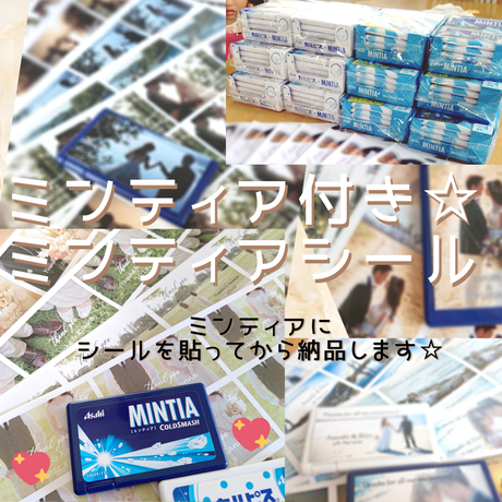ミンティアシール Stores