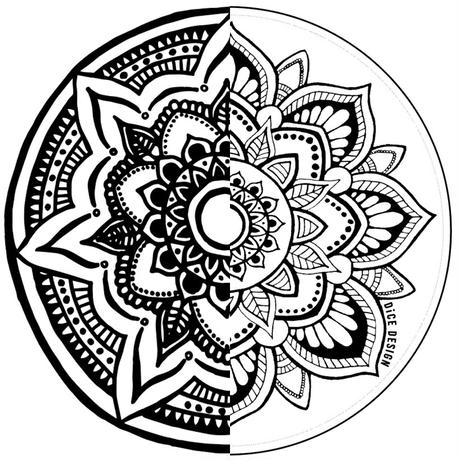 58a2d66f9821cc3c4101e980